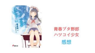 青ブタ8巻 感想 ネタバレ 青春ブタ野郎はおでかけシスターの夢を見ない 俺の人生二次元に捧げる